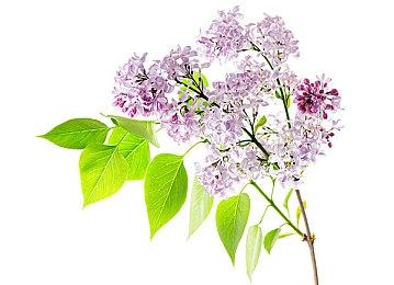 《人类：一败涂地2》公布 预告和首批截图